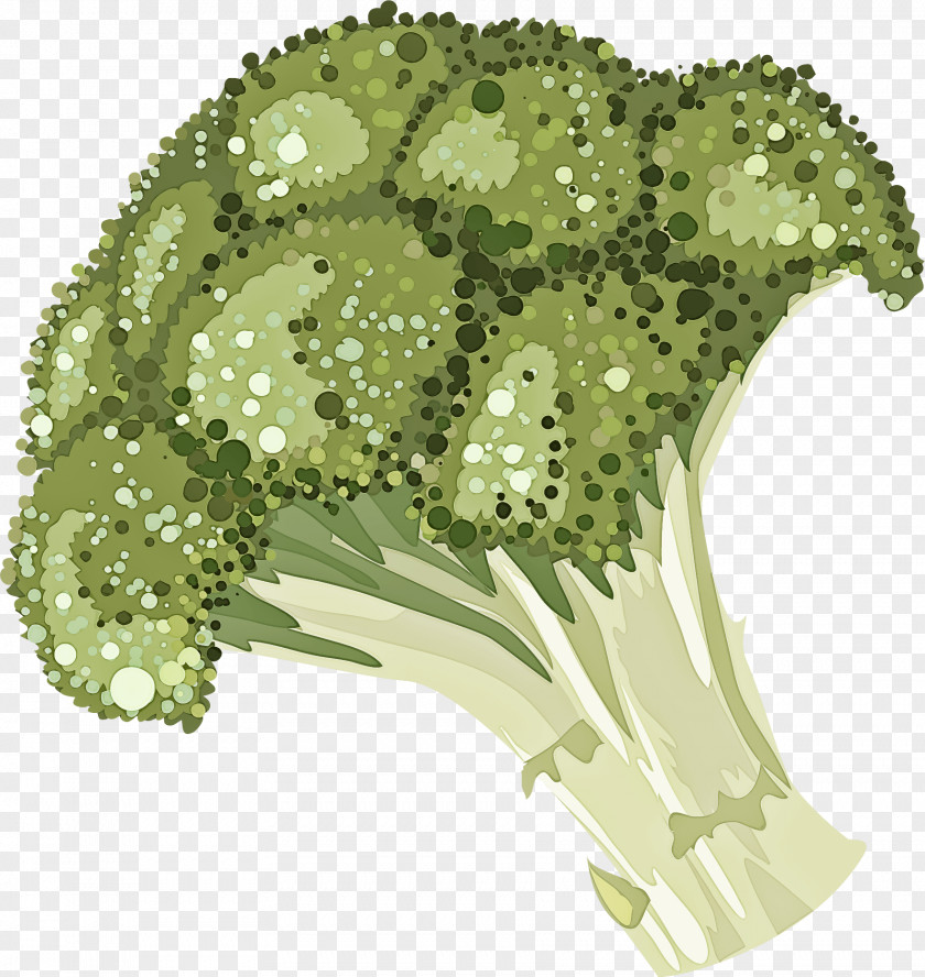 Flower Plant Leaf Broccoli Vegetable PNG