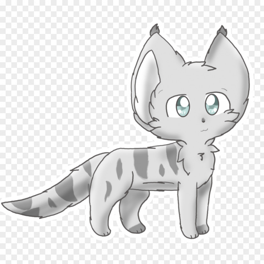 Kitten Whiskers Cat Canidae Sketch PNG