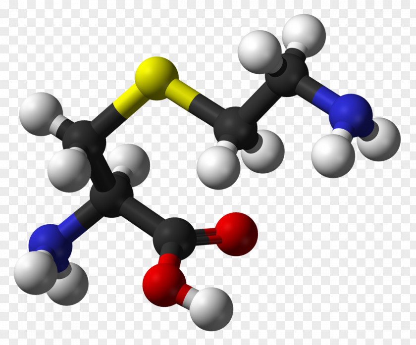 S-Aminoethyl-L-cysteine Amino Acid Acetylcysteine Cysteine Sulfinic PNG