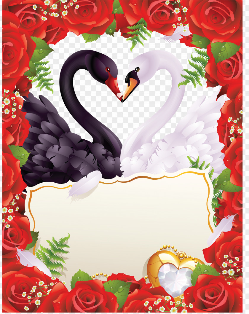 Wedding Invitation Greeting & Note Cards PNG