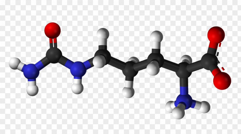 1930 Ball Citrulline Amino Acid Arginine Metabolic Waste PNG