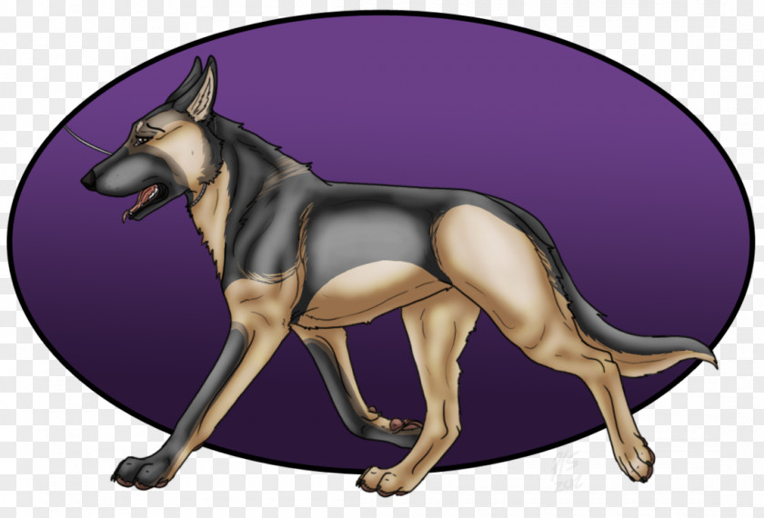 Conformation Show Dog Breed Macropodidae Snout PNG
