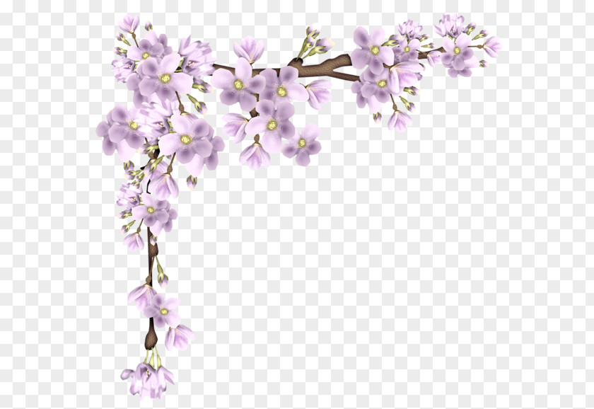 Floating Cherry Border Material Clip Art PNG