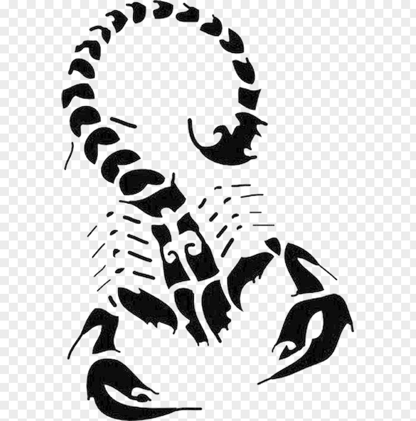 Free To Pull The Scorpion Pattern House Of Clip Art PNG