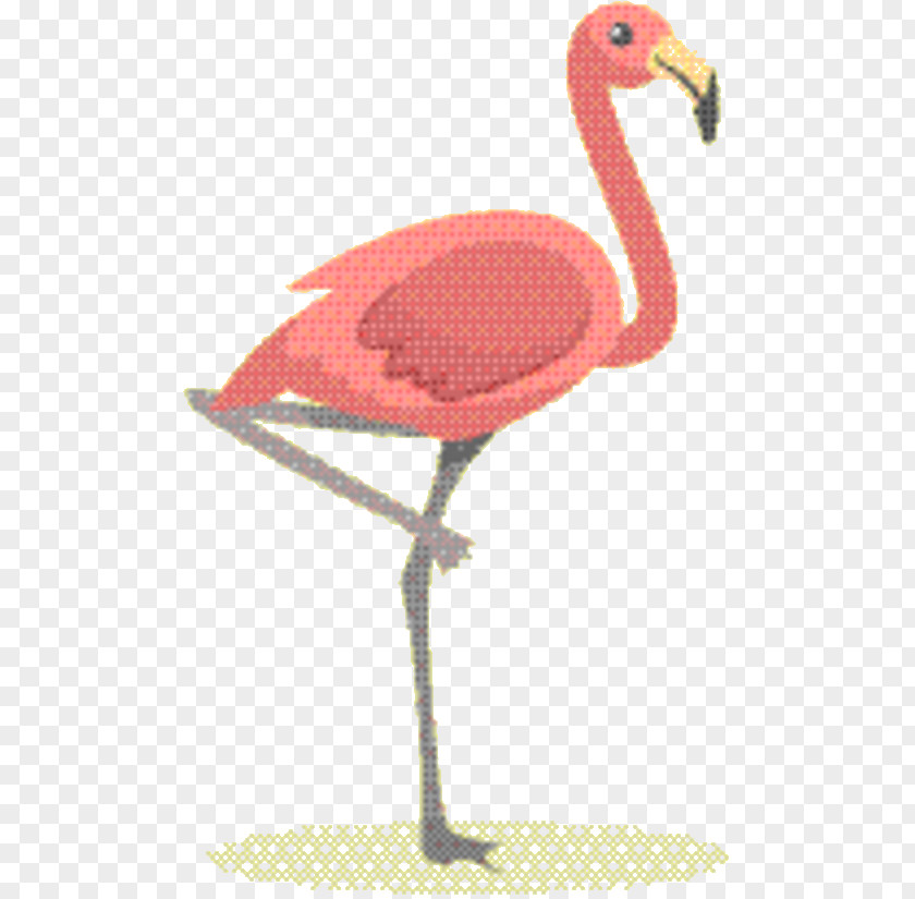 Pink Water Bird Beak PNG