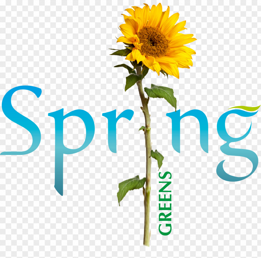 Spring Green Springer Science+Business Media Lecture Notes In Computer Science Proceedings Publishing Academic Conference PNG