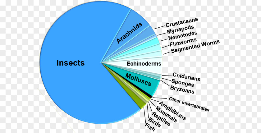 Bacteria Under Microscope Pie Chart Insect Biology Species Diversity PNG