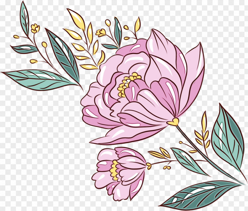 Common Peony Magnolia Watercolor Pink Flowers PNG