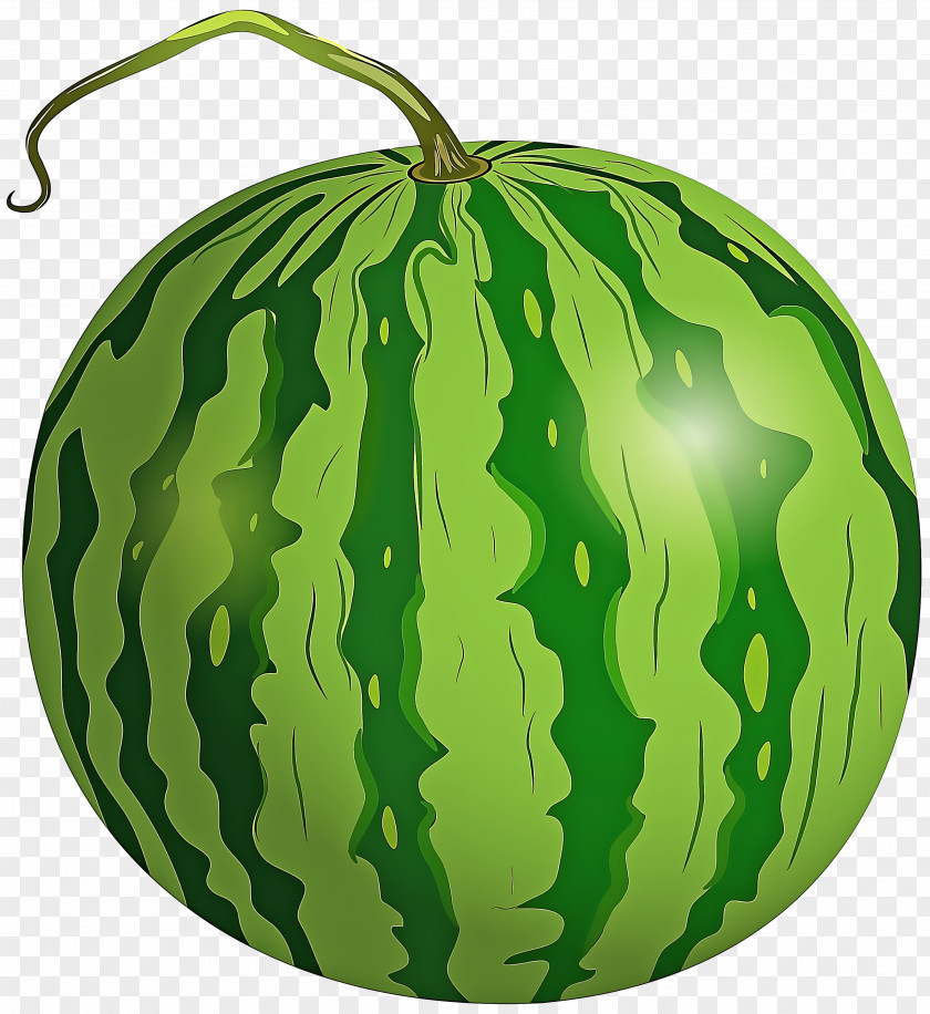 Cucurbita Vegetable Watermelon PNG