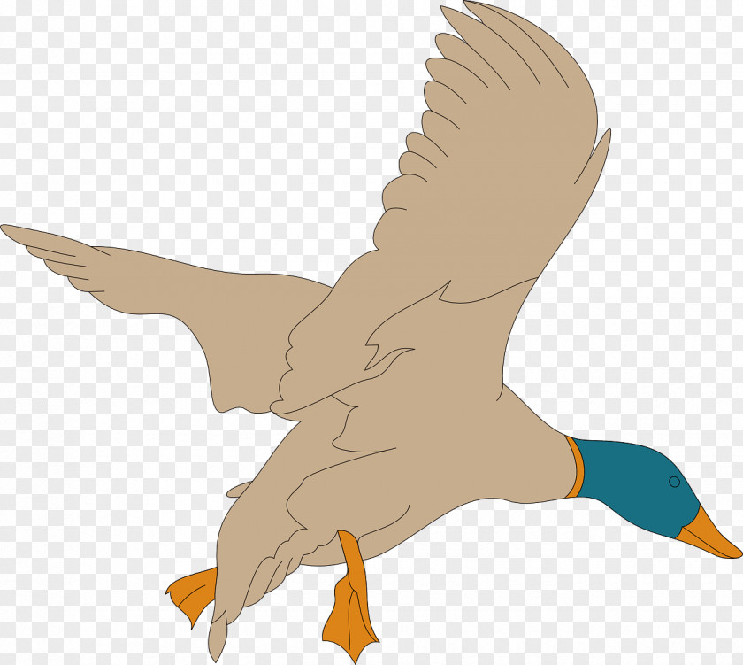 Flying Swan American Pekin Great Notley Parish Council Mallard Duck Clip Art PNG
