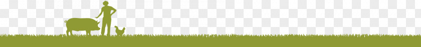 Footerfooter Energy Grasses Desktop Wallpaper Grassland Water PNG