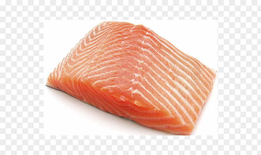 Salmon Fillet Fish Steak Seafood PNG