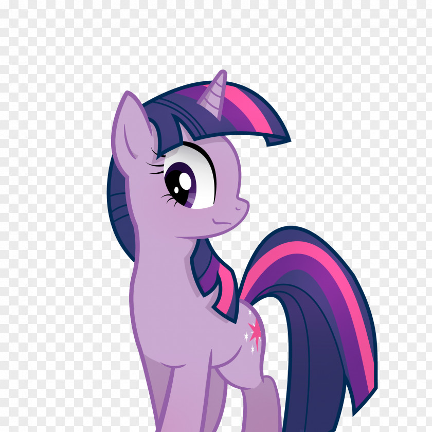 Sparkle Vector Pony Author Twilight Horse PNG