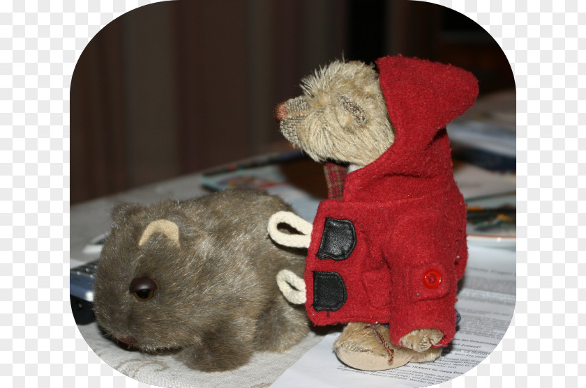 Wombats Alice Springs Wombat Outback Stuffed Animals & Cuddly Toys Travel PNG