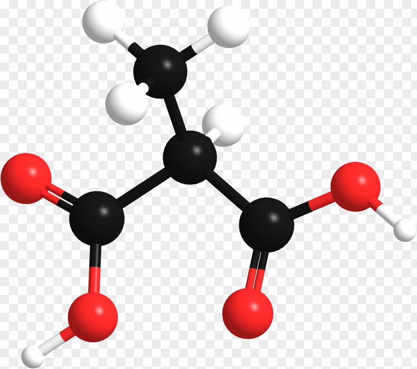 3d Model 1-Pentene Methylmalonic Acid Wikimedia Commons Information PNG
