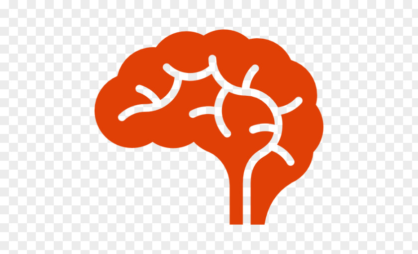 Cognitive Neuroscience Neurology Neuropsychology Neuroimaging PNG