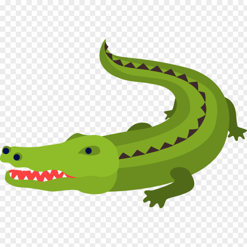 Green Crocodile Alligator Cartoon PNG
