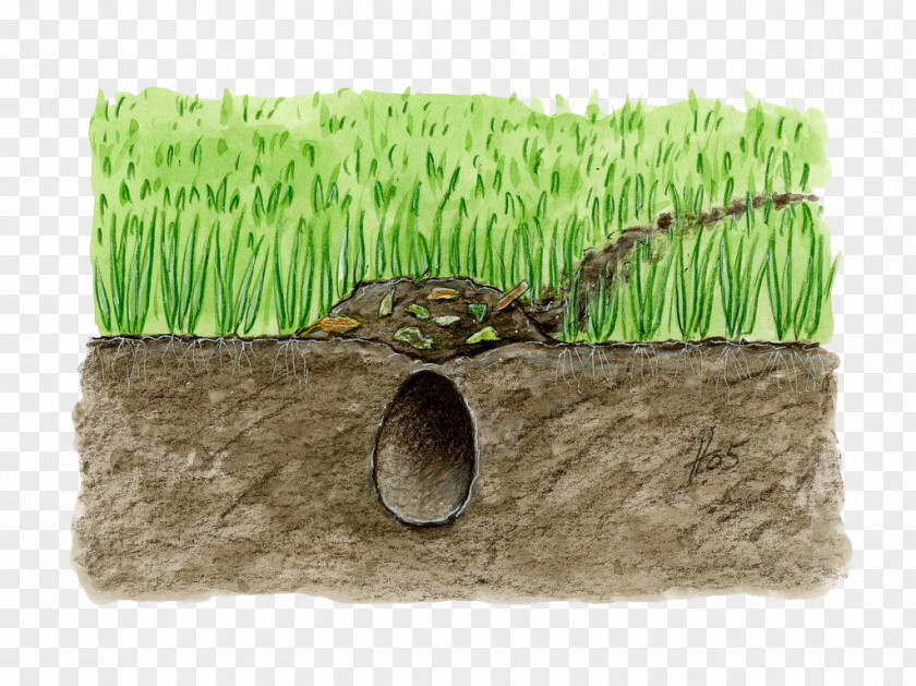 Hand Painted Grass Underground Soil Hole Horizon PNG