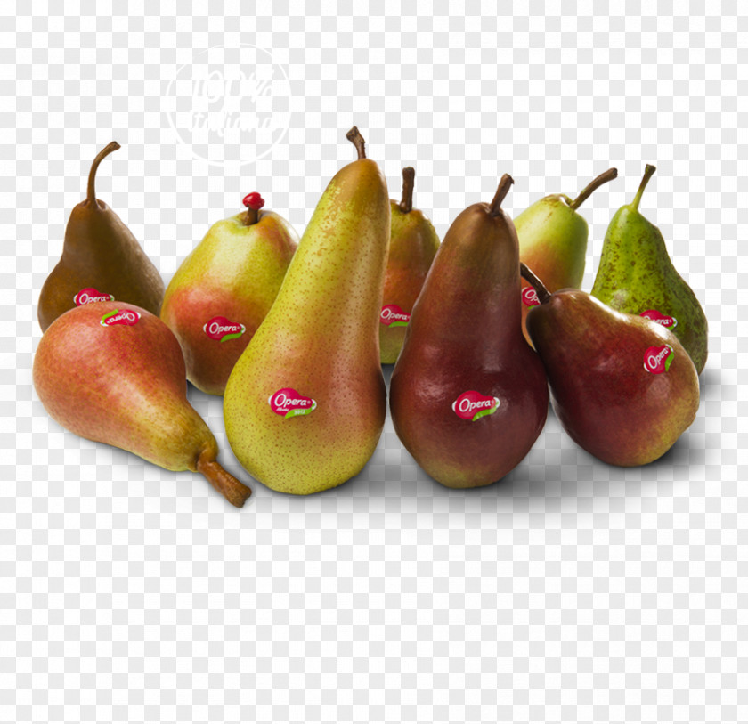 Pear Abate Fetel Accessory Fruit Auglis PNG