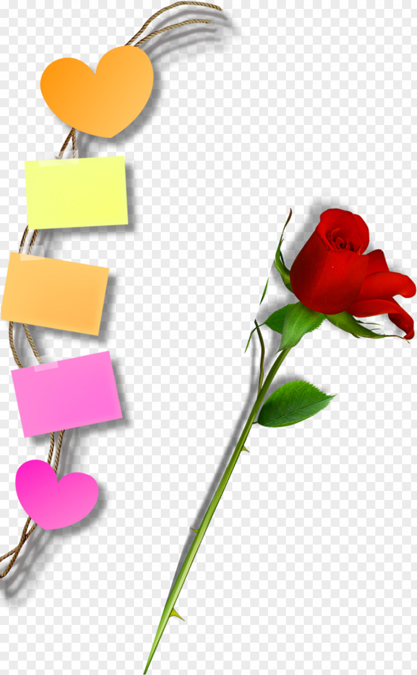 Roses Notes Elements Floral Design Download Clip Art PNG