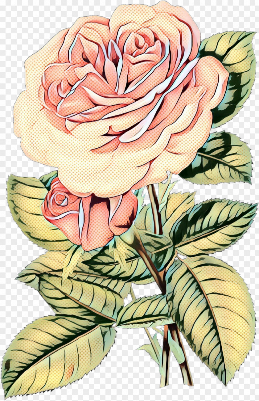 Camellia Rose Order Pop Art Retro Vintage PNG