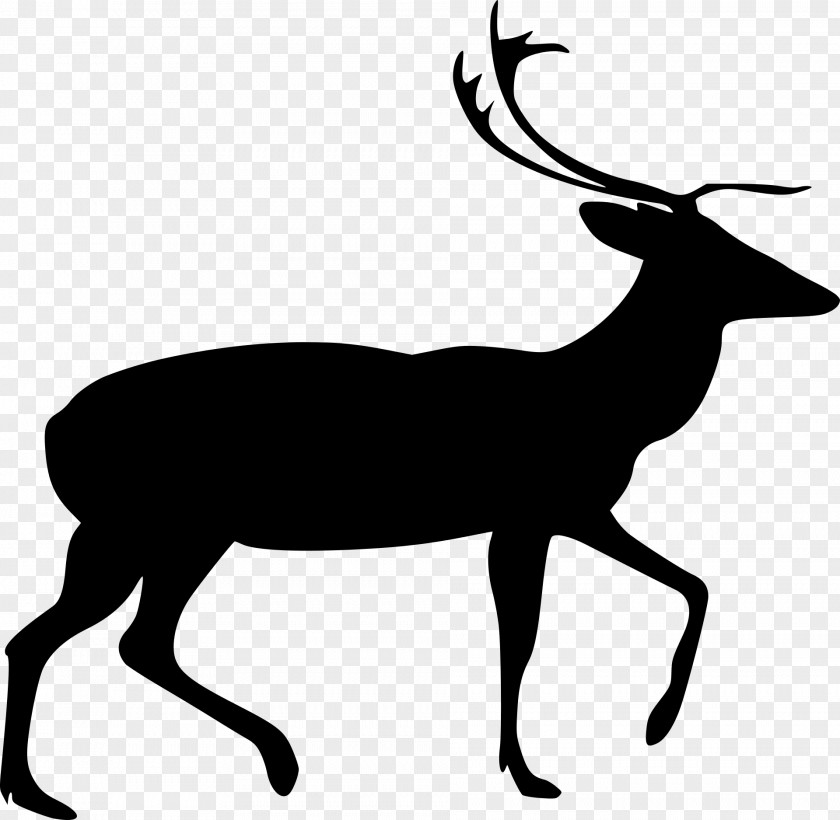Deer Silhouette Line Art Clip PNG
