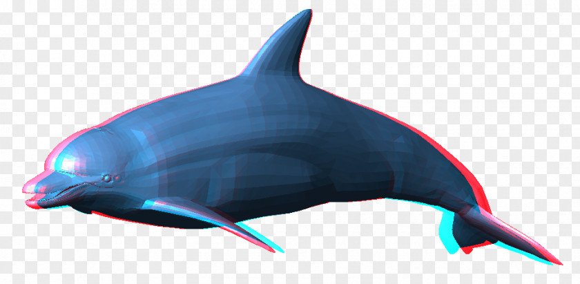 Dolphin Clip Art Image Transparency PNG