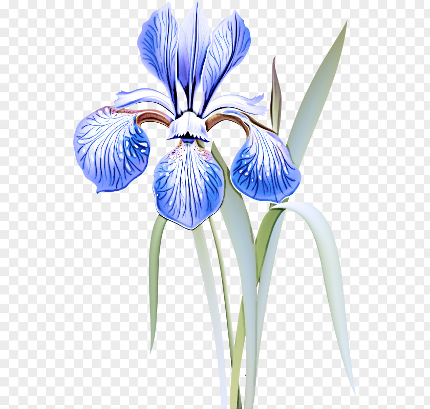 Iris Versicolor Petal Flower Blue Plant Eye PNG