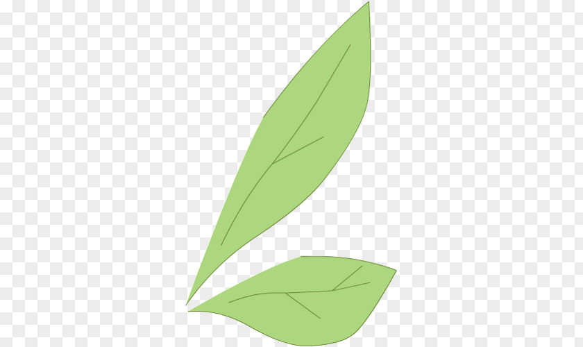 Leaf Plant Stem PNG