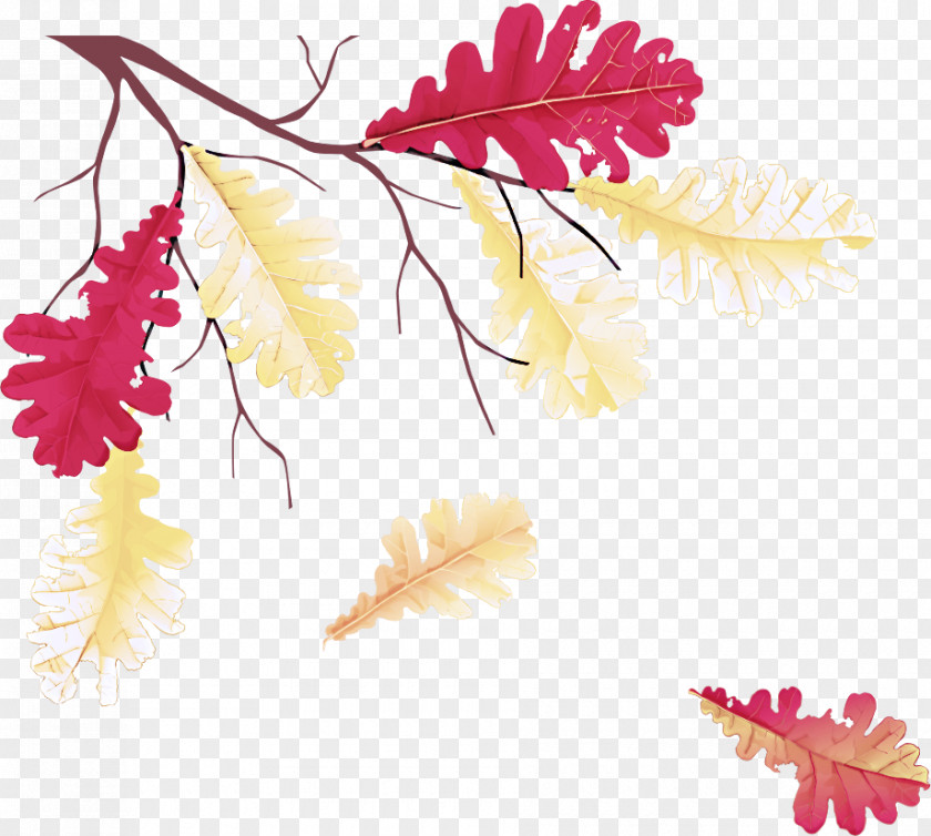 Twig Black Maple Leaf Yellow Tree Plant Clip Art PNG