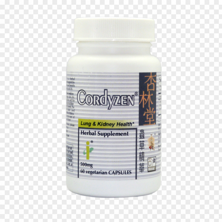 Authentic Cordyceps Dietary Supplement Health Respiratory System Lung Phlegm PNG