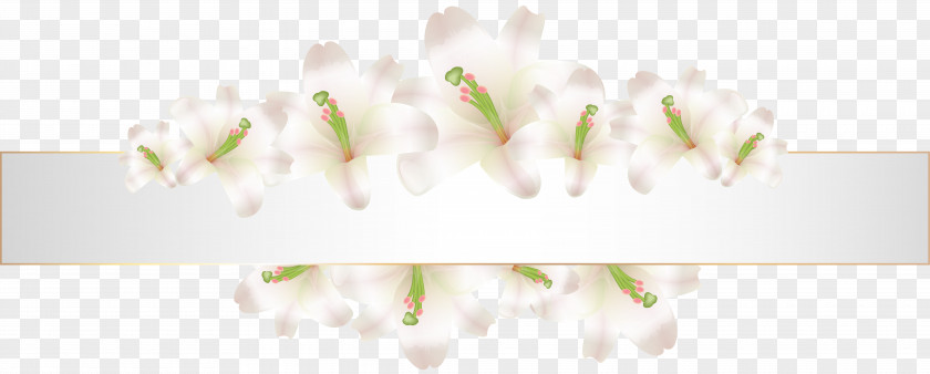 Flower Banner Hand Finger Desktop Wallpaper PNG