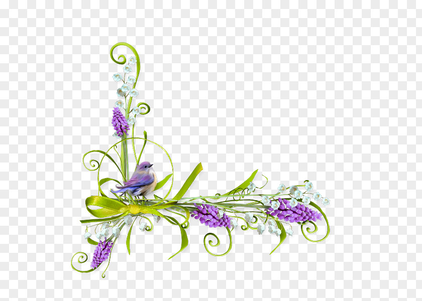 Flower Paper Curb Drawing Picture Frames PNG