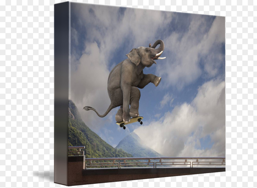 Asian Elephant Canvas Gallery Wrap Art PNG