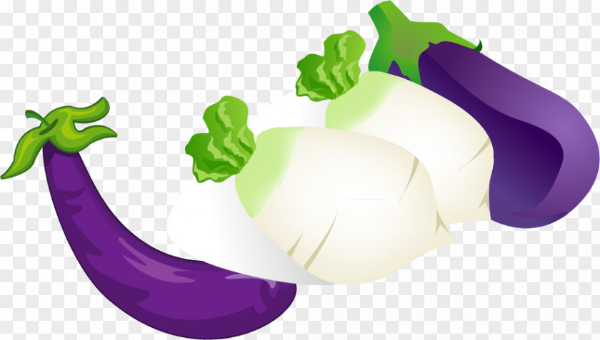Eggplant Radish Vector Material Daikon Vegetable Food Illustration PNG