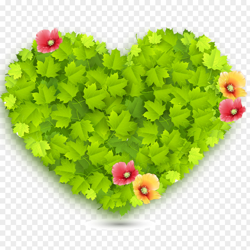Heart Green Love Wallpaper PNG