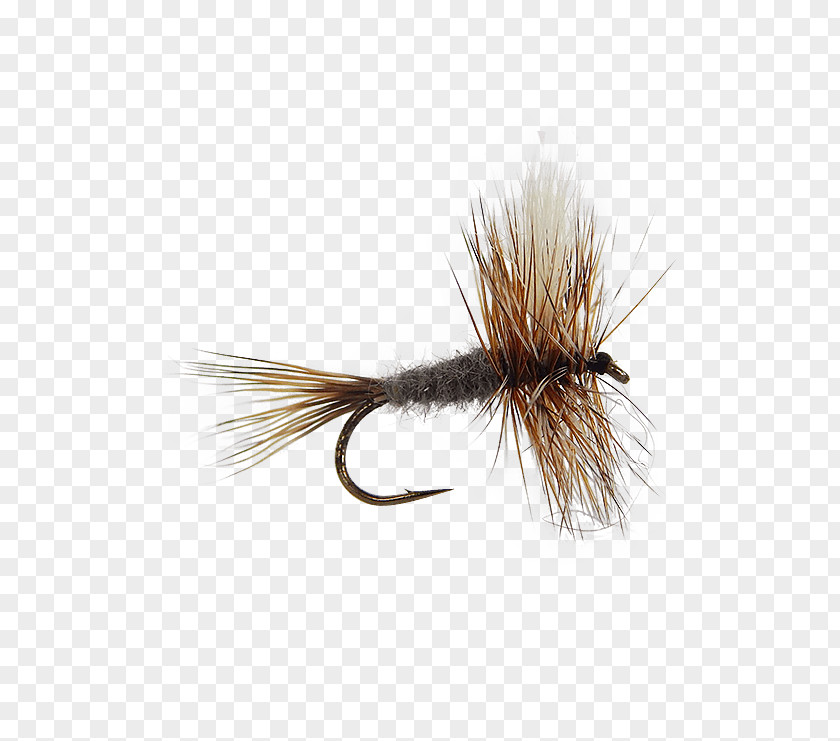 Dry Flies Artificial Fly Fishing Insect Emergers PNG