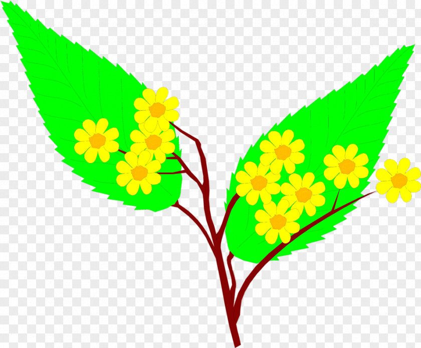 Flowers Illustrations Yellow Flower Clip Art PNG