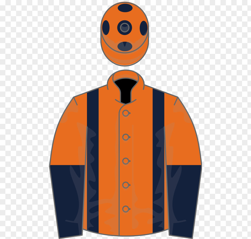 Grand National Sleeve PNG
