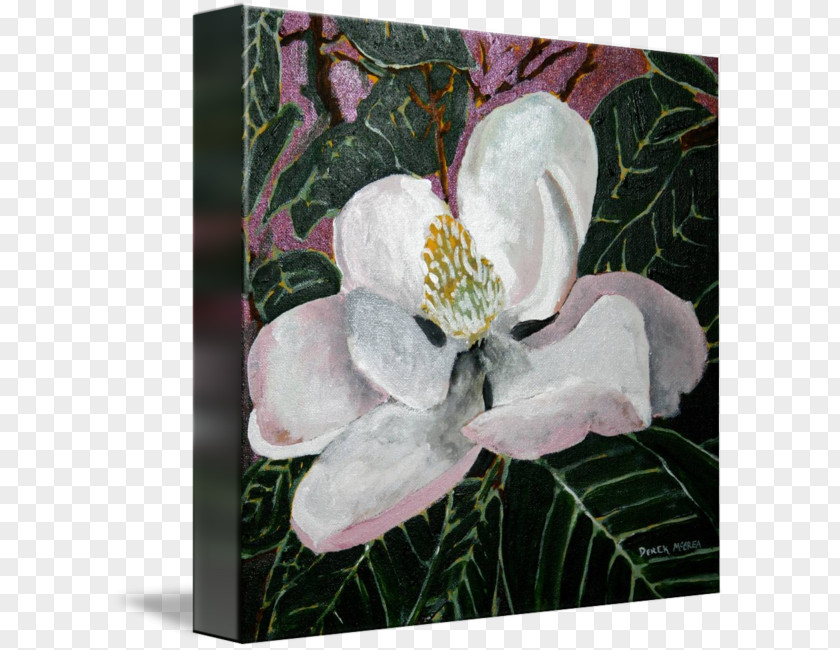 Magnolia Flower Painting Watercolor Artist Drawing PNG