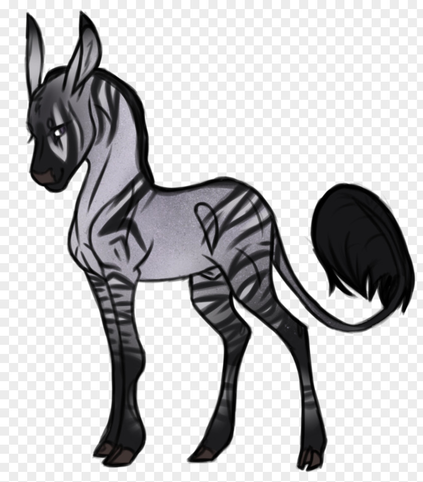 Mustang Foal Pony Stallion Colt PNG