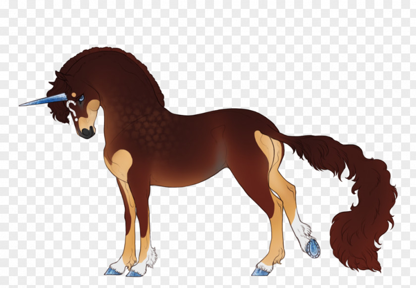 Mustang Stallion Foal Pony Rein PNG