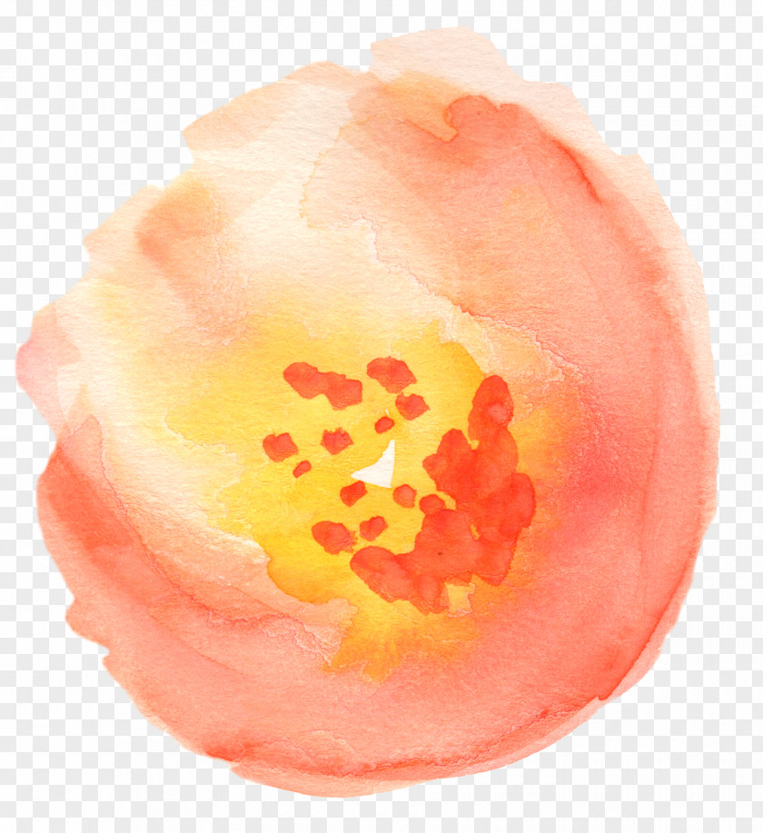 Watercolor Transparent Painting Flower Clip Art PNG