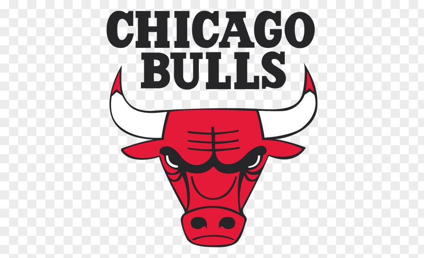Chicago Bears Bulls Boston Celtics NBA Orlando Magic Sport PNG