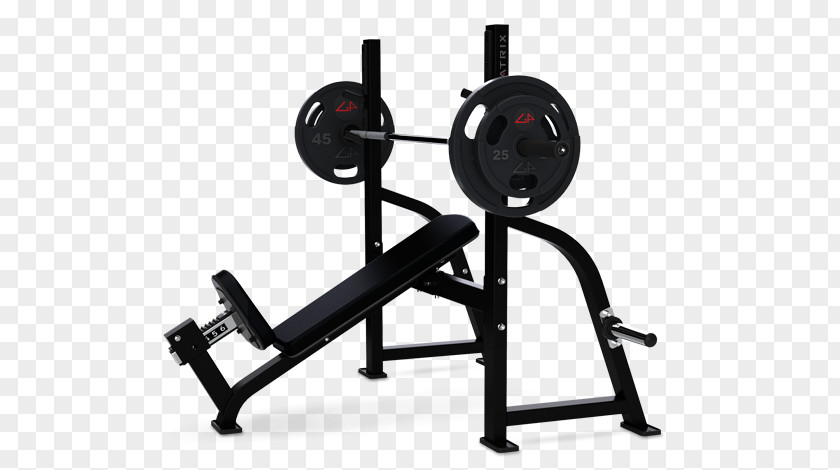 Fitness Equipment Bench Olympic Games Centre Fly Dumbbell PNG