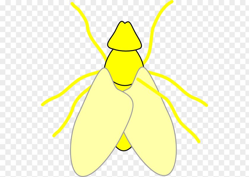 Fly Insect Royalty-free Clip Art PNG
