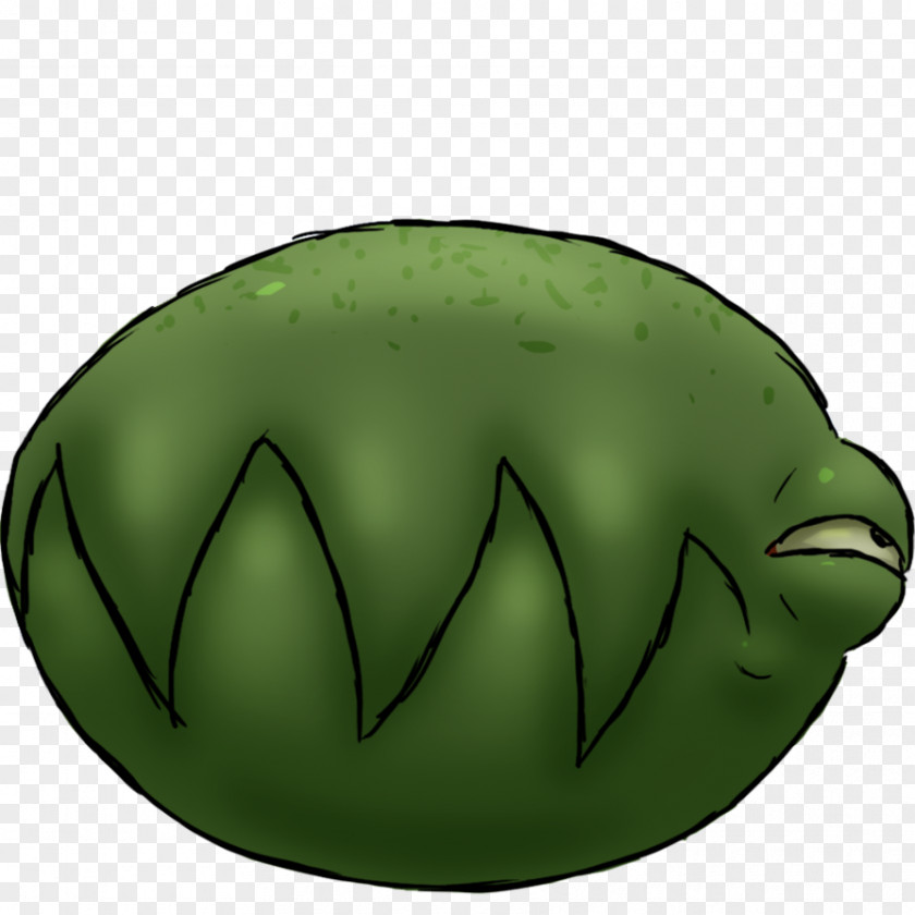 Frog Green Leaf Fruit Animated Cartoon PNG