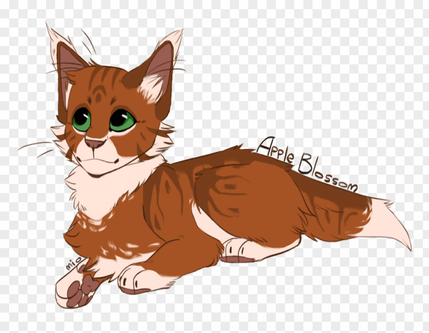 Kitten Whiskers Red Fox Tabby Cat PNG