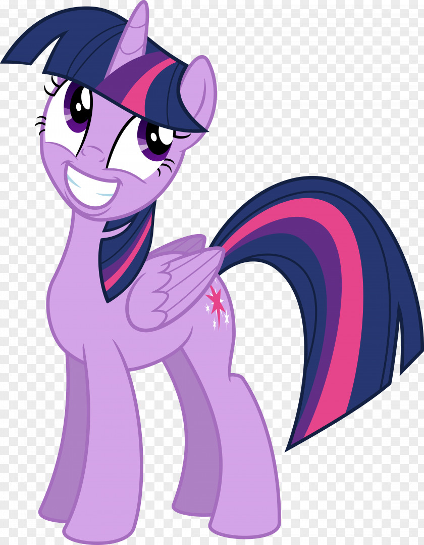 My Little Pony Twilight Sparkle Pony: Equestria Girls Pinkie Pie PNG