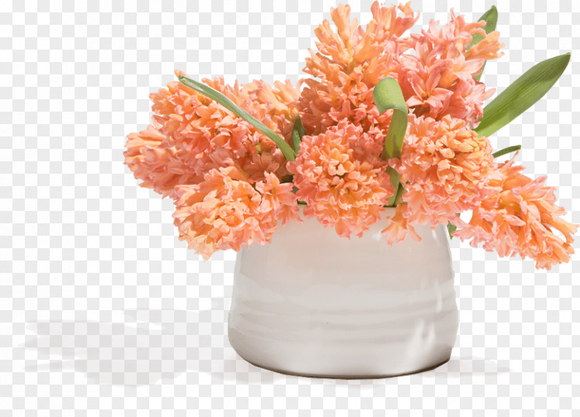 Pot Plant Cut Flowers Floristry Floral Design Artificial Flower PNG